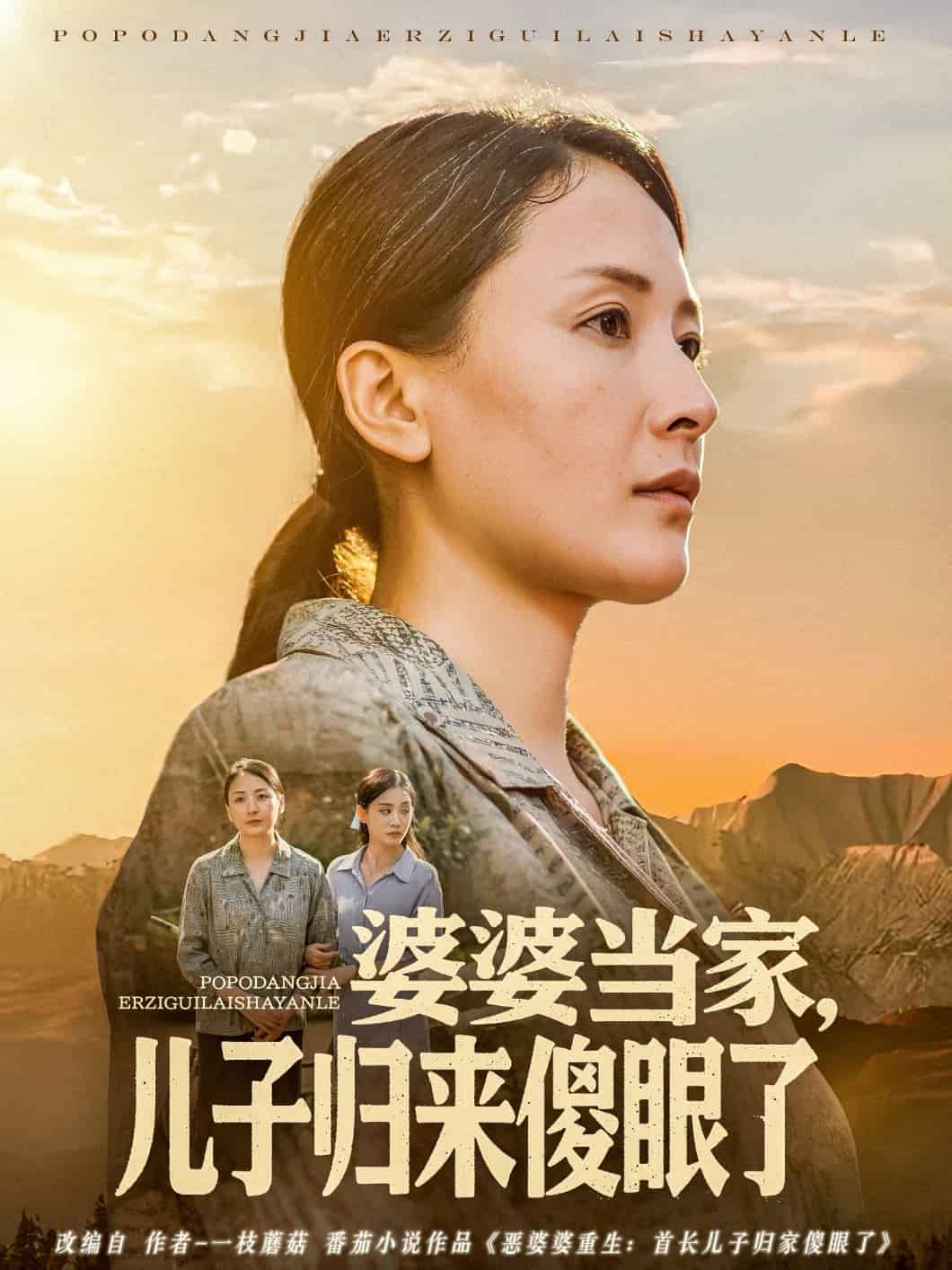 婆婆当家儿子归来傻眼了(全集)